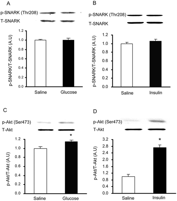 Fig.3.