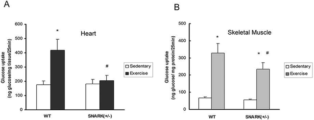 Fig.7.