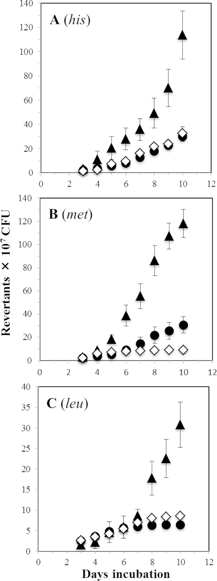 FIG 2