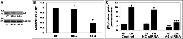 Figure 10.