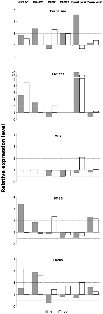 Figure 4