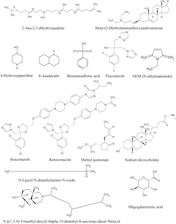 Figure 7