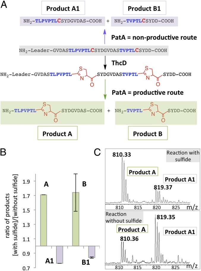 Fig. 4.