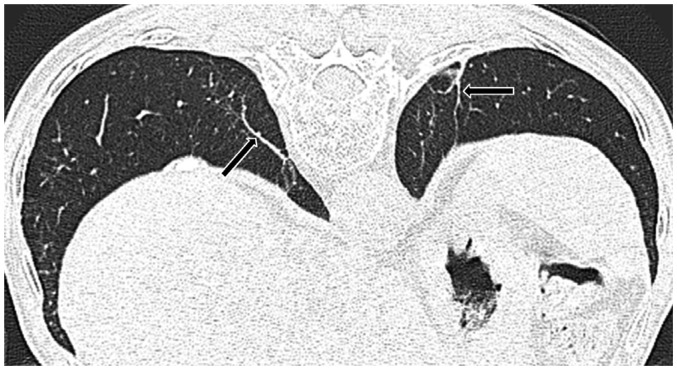 Fig. 7