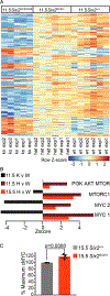 Figure 4)
