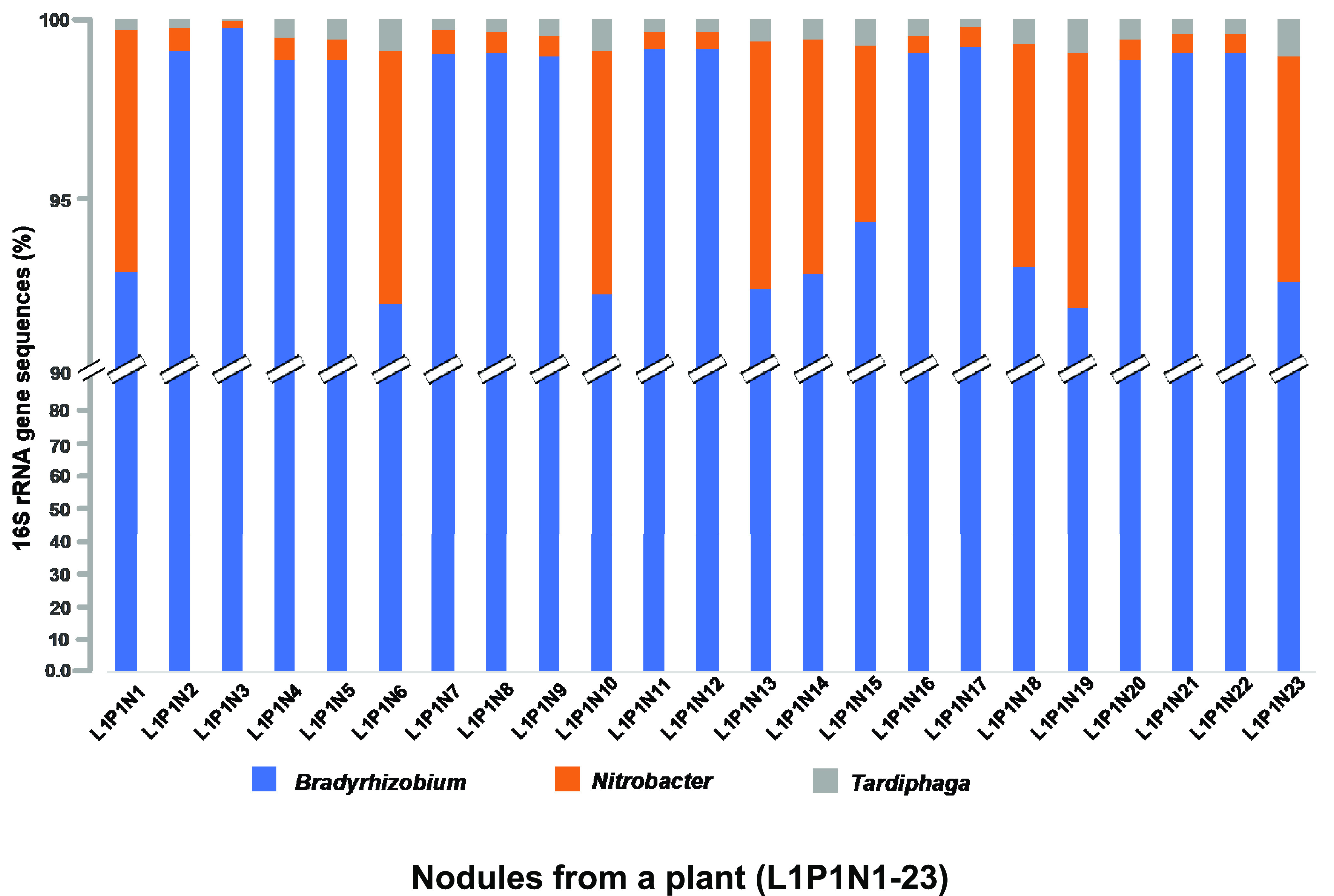 FIG 1