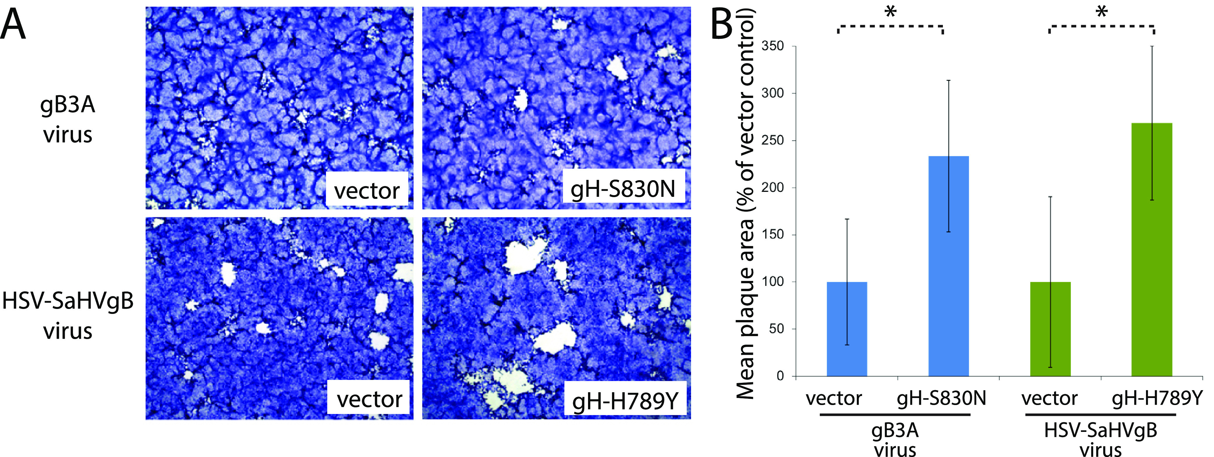 FIG 6