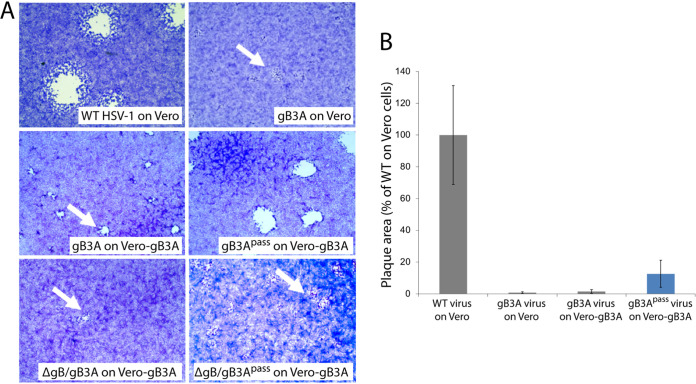 FIG 3