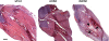 FIG. 9.