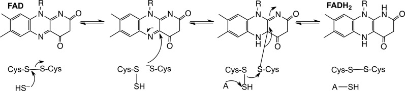 FIG. 6.