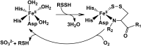 <b>FIG. 7.</b>