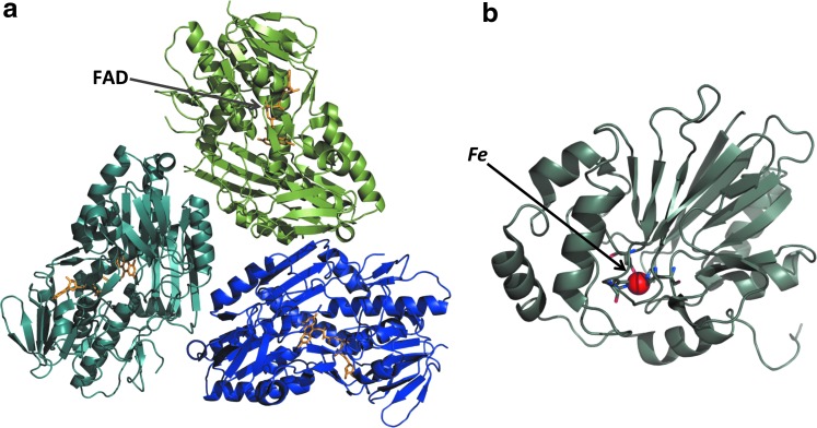 FIG. 5.