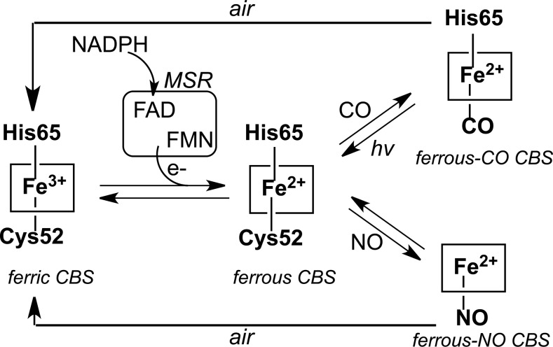 FIG. 4.