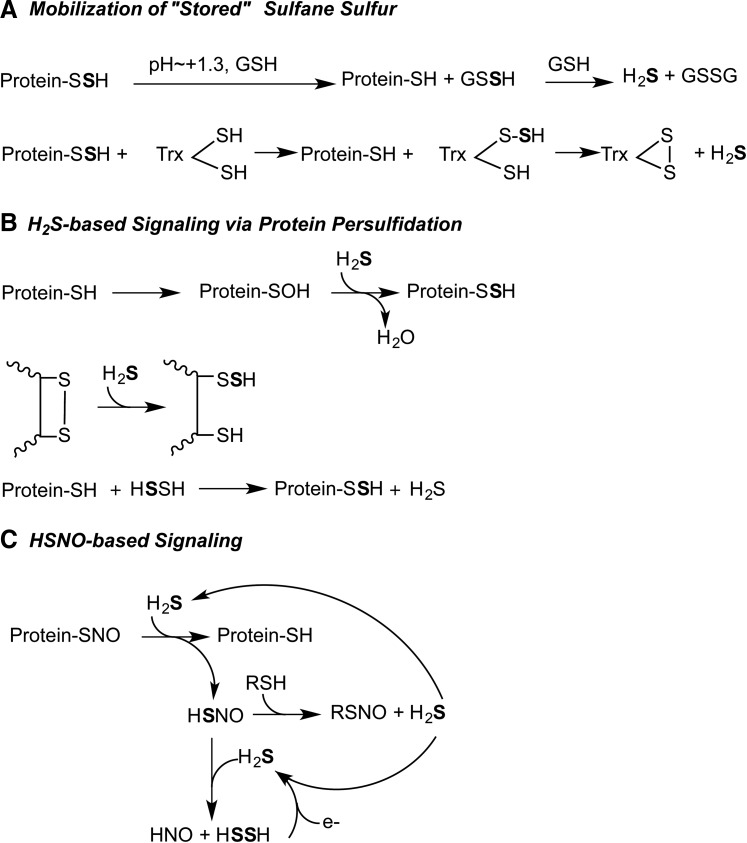 FIG. 8.