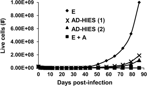 FIG 4