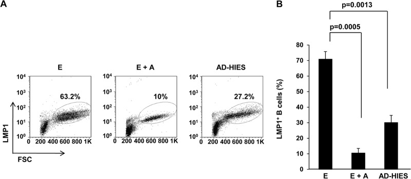 FIG 3