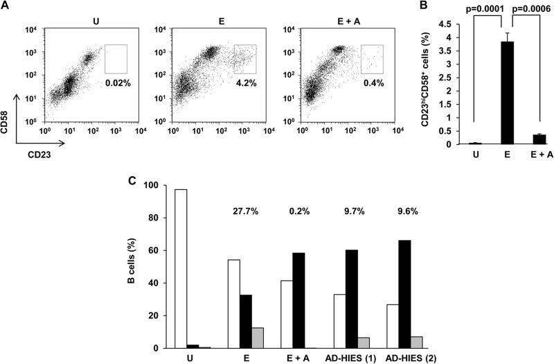 FIG 6