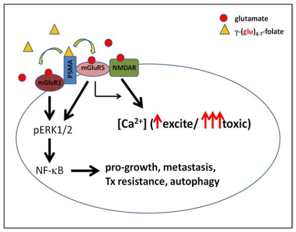 Fig. (2)