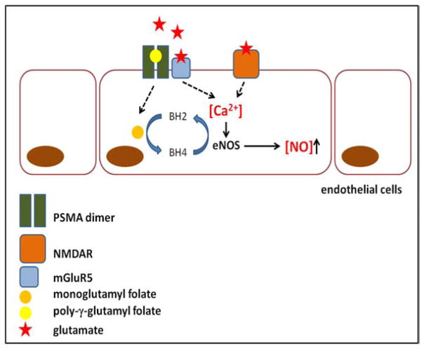 Fig. (1)