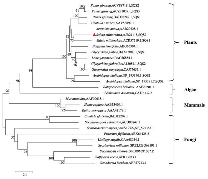 FIGURE 2