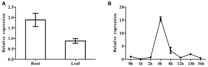 FIGURE 5