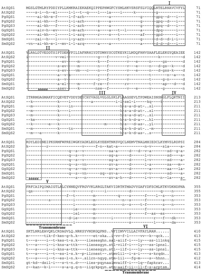 FIGURE 1