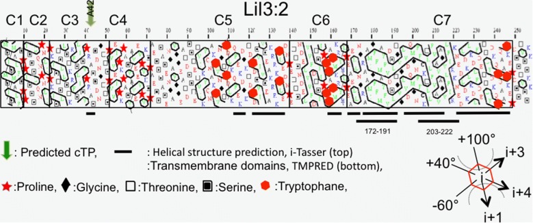 Fig. 6