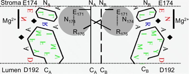 Fig. 7