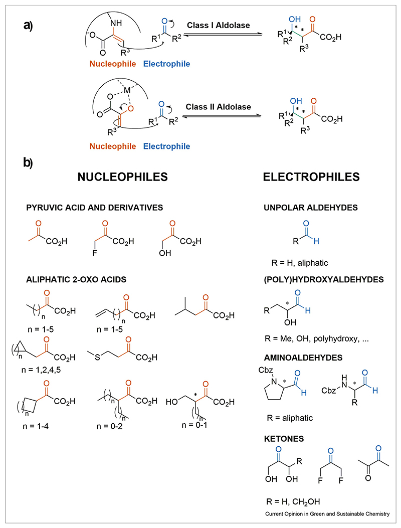 Scheme 1