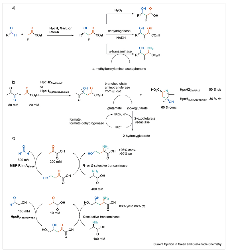 Scheme 4