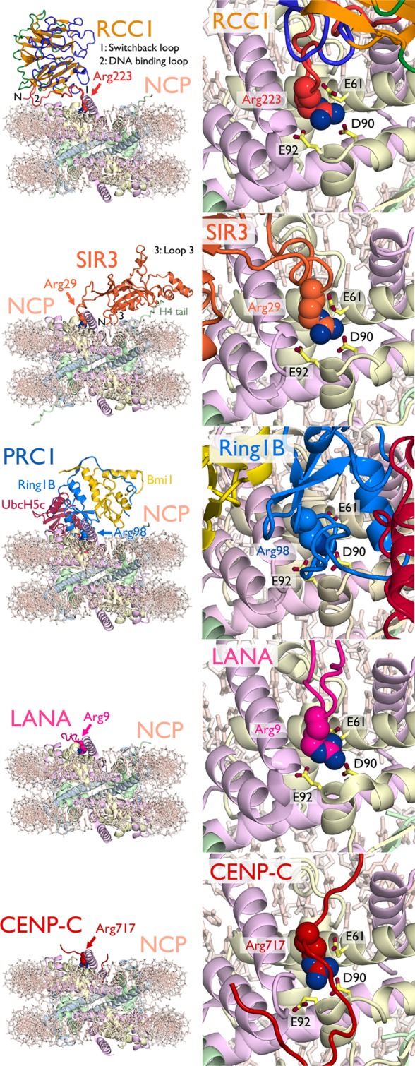 Figure 12