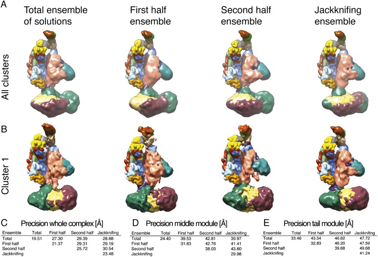 Figure 2—figure supplement 4.