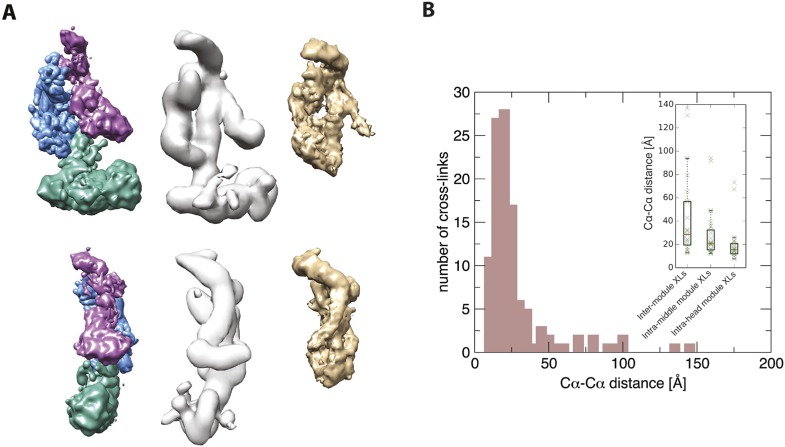 Figure 7—figure supplement 1.