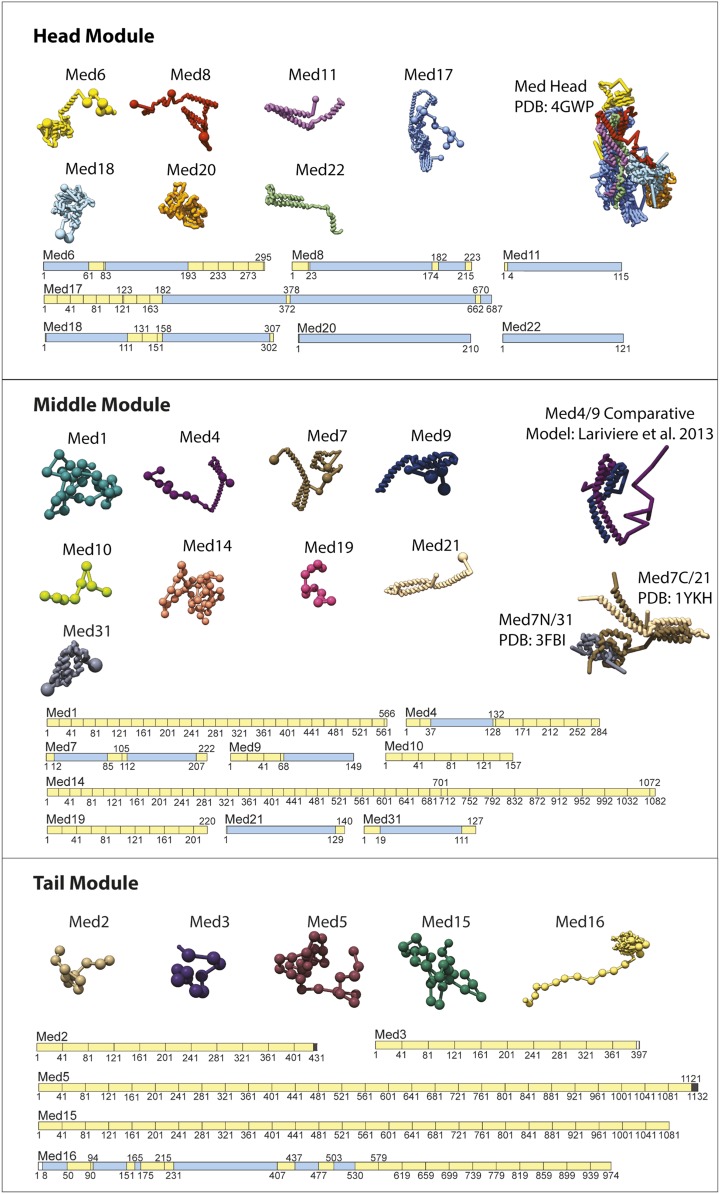 Figure 2—figure supplement 2.