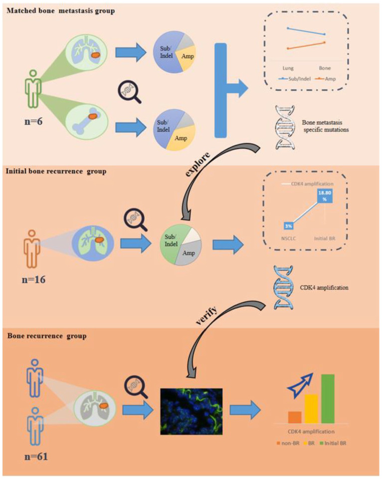 Graphical abstract