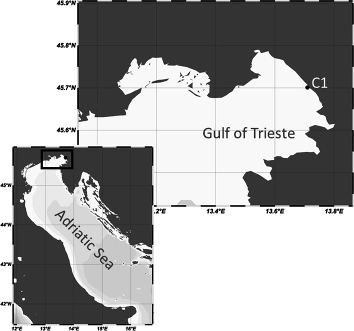Fig. 1