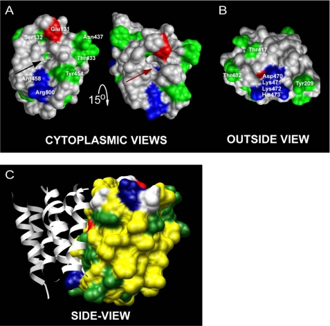 FIGURE 3.