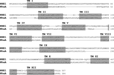 FIGURE 1.