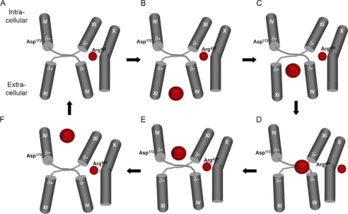 FIGURE 9.