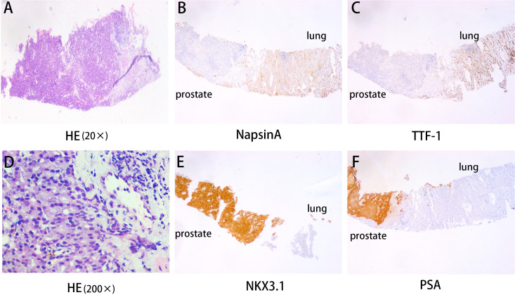 Figure 3