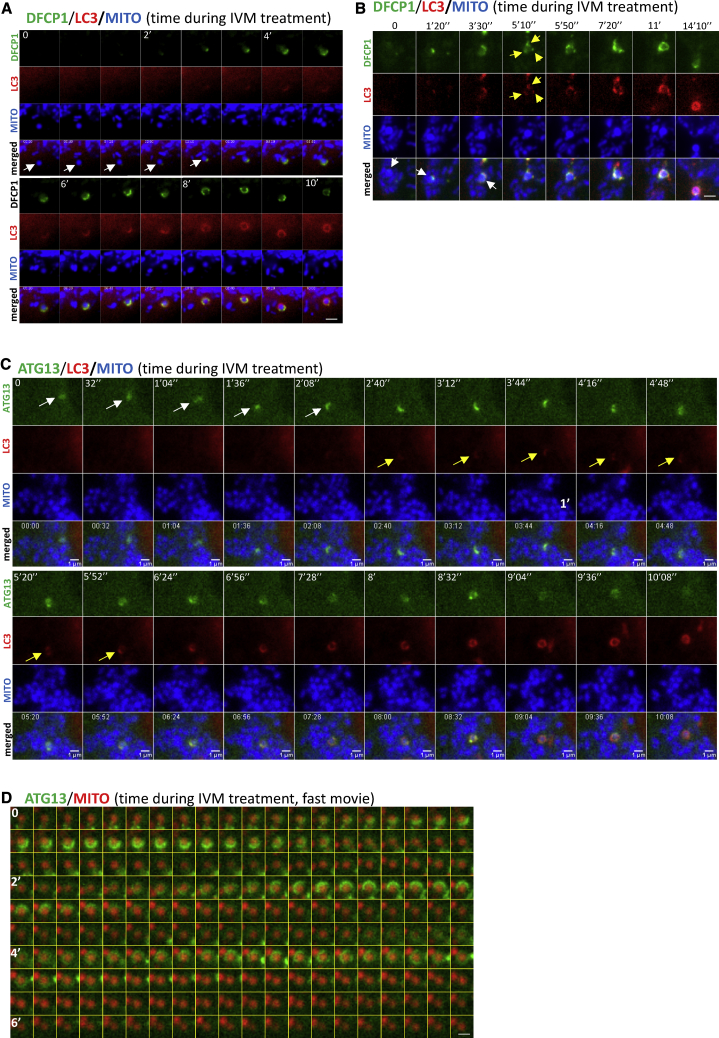 Figure 4