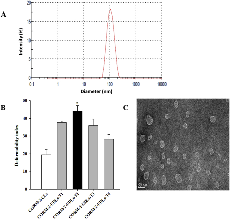 Figure 1