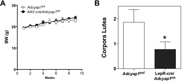 Figure 2—figure supplement 1.