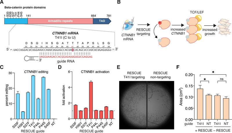 Figure 2: