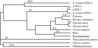 Figure 1.