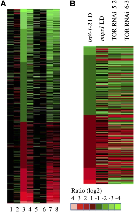 Figure 13.