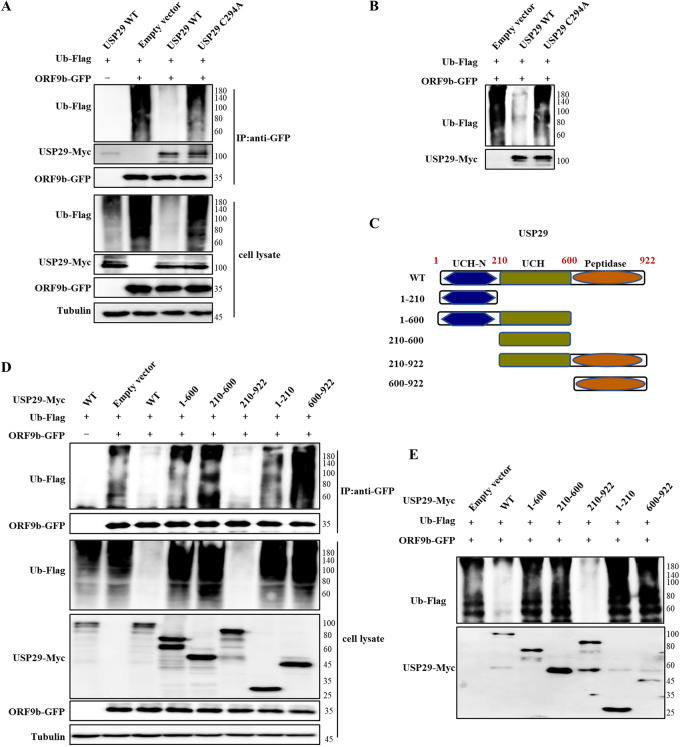 FIG 3