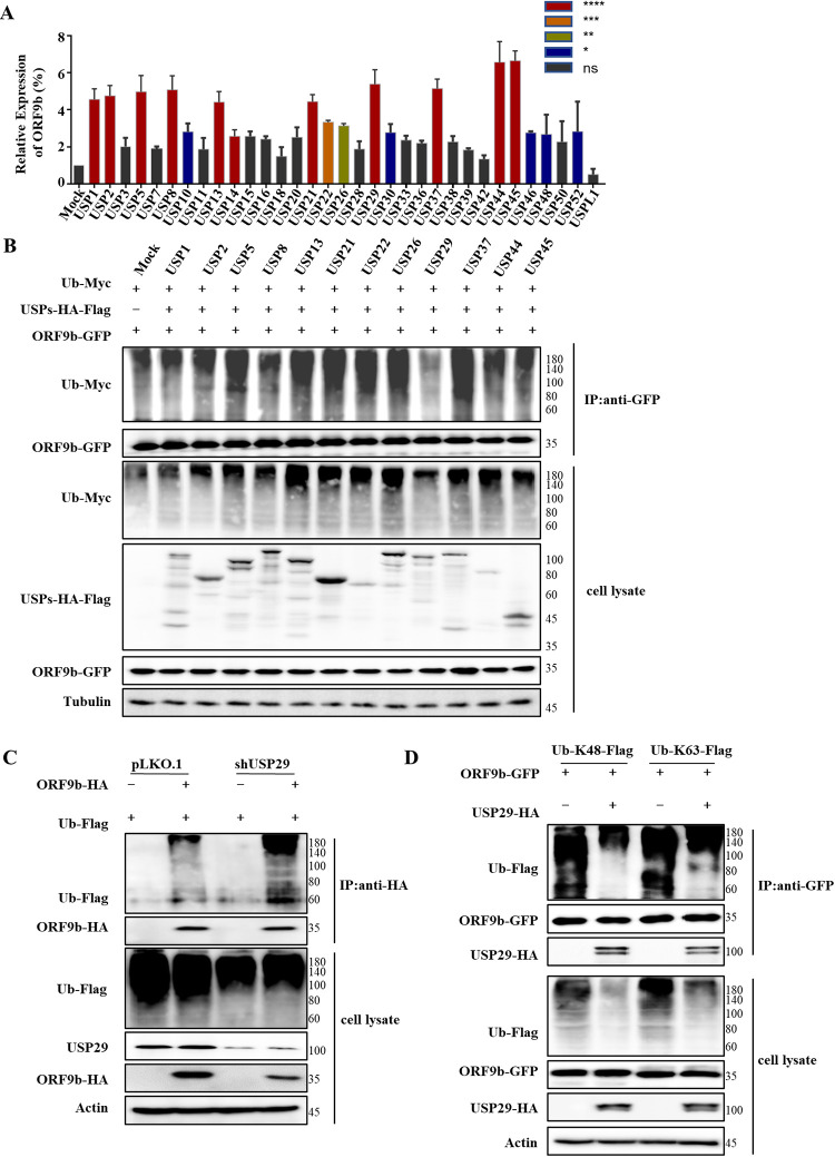 FIG 2