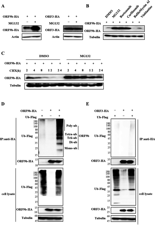 FIG 1