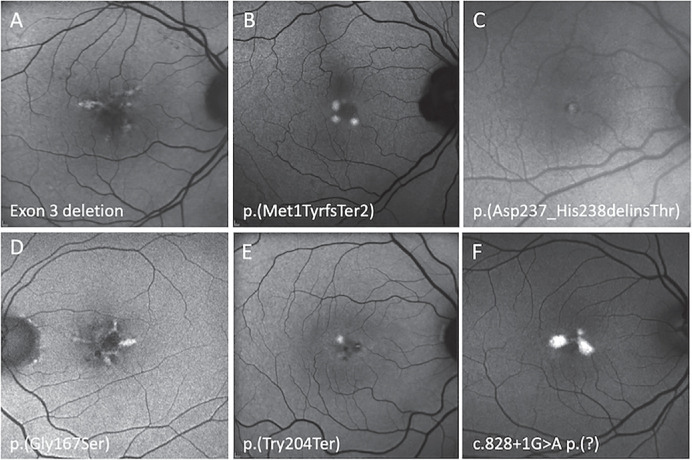 Figure 3.